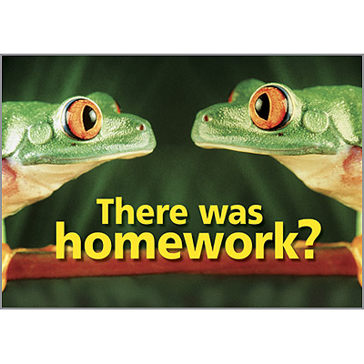 There was homework?